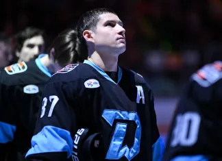 Вадим Шипачёв отреагировал на расформирование «Витязя» Вадим Шипачёв отреагировал на расформирование «Витязя»